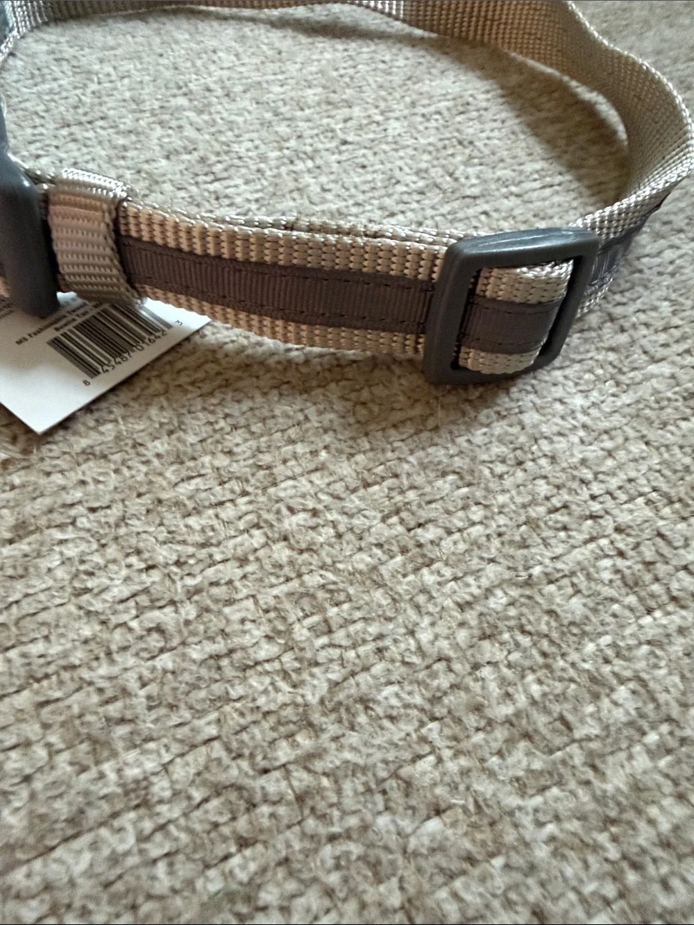 NWT Martha Stewart Neutral Beige Nylon Dog Collar with Branded Buckle